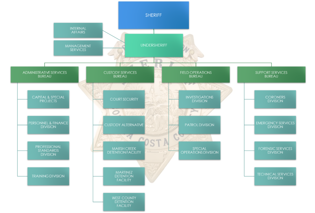 Photo of Organizational Chart for Sheriff's Office
